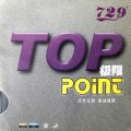Top-Point